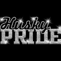 GLT59 SILVER GLITTER Thumbnail