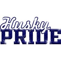 GLT59 BLUE GLITTER Thumbnail